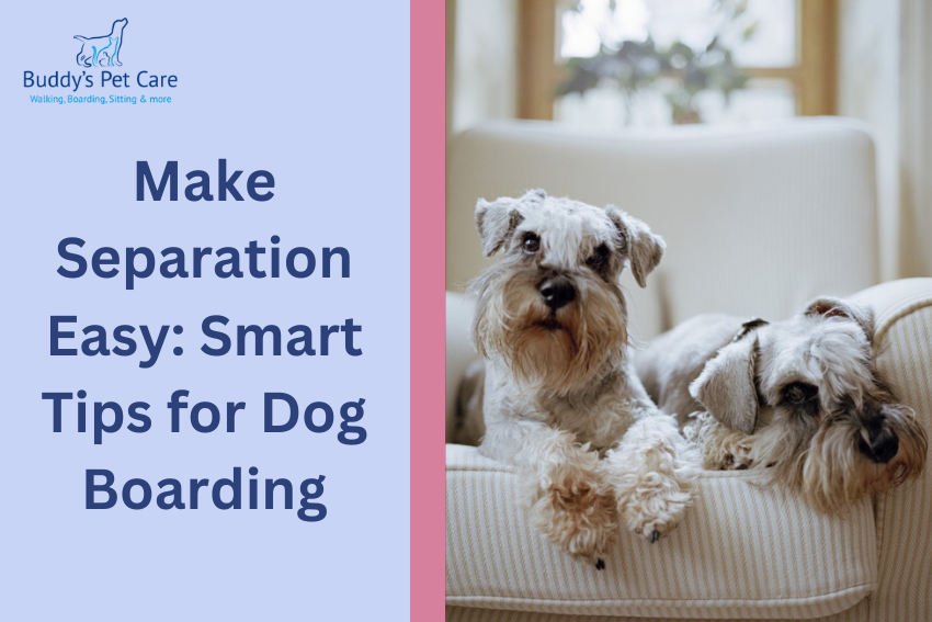 Make Separation Easy: Smart Tips for Dog Boarding