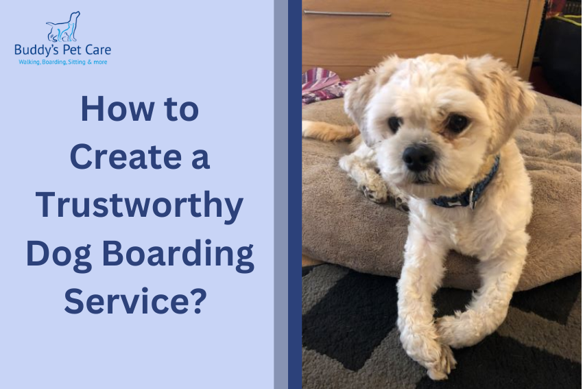 How to Create a Trustworthy Dog Boarding Service?