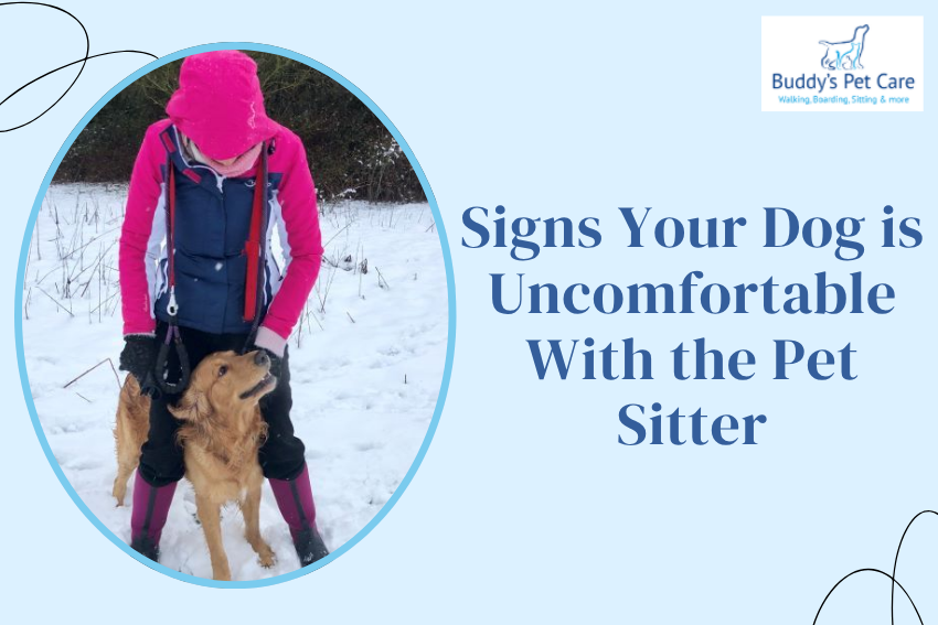 Signs Your Dog is Uncomfortable With the Pet Sitter